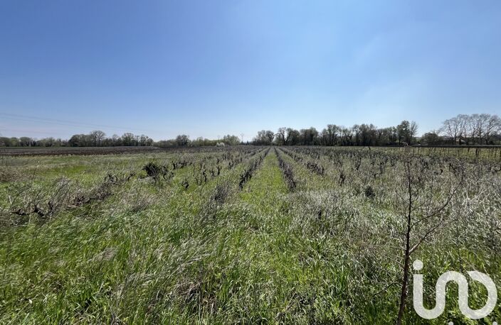 Vente Terrain agricole 5 975 m&sup2; — photo 2