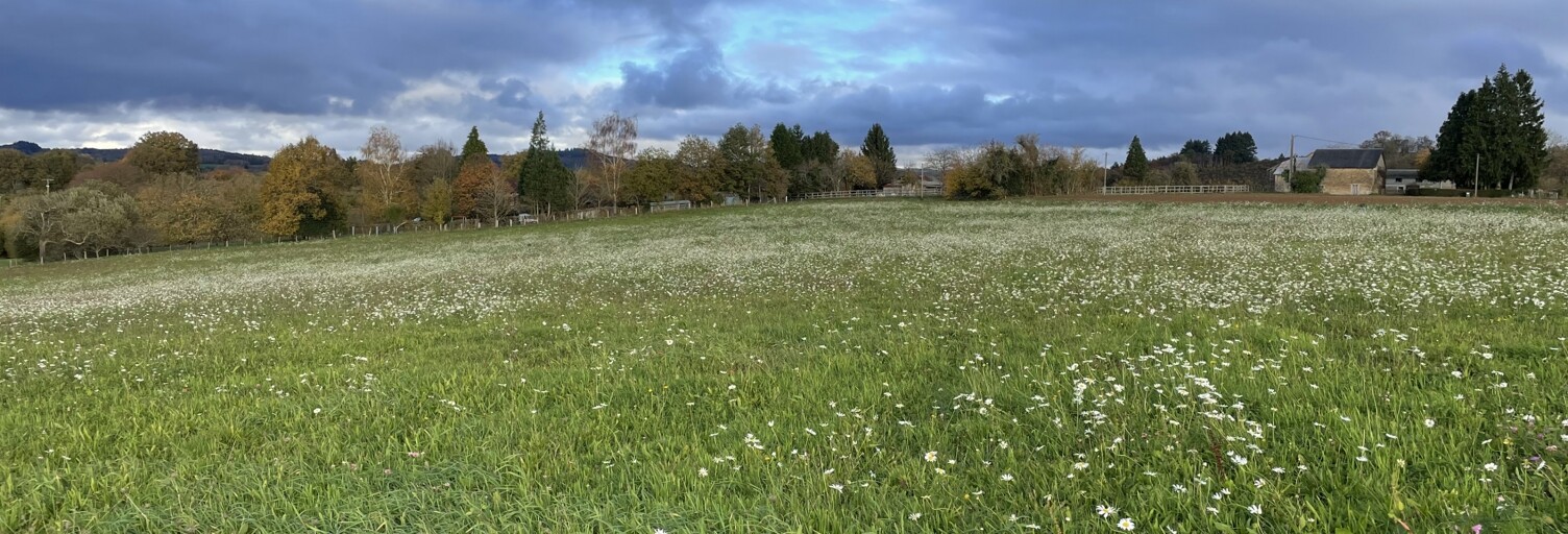 Terrain  53431 m² à vendre à Neuvic-Entier (87130)