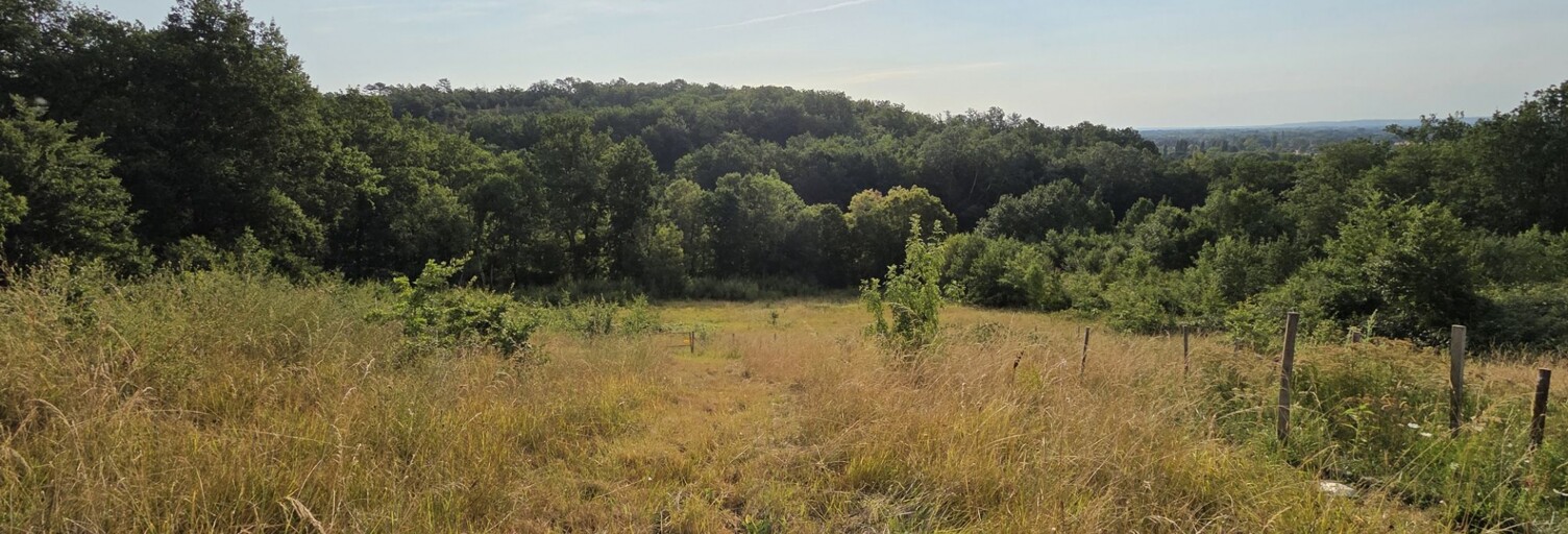 Terrain  8108 m² à vendre à Le Fleix (24130)