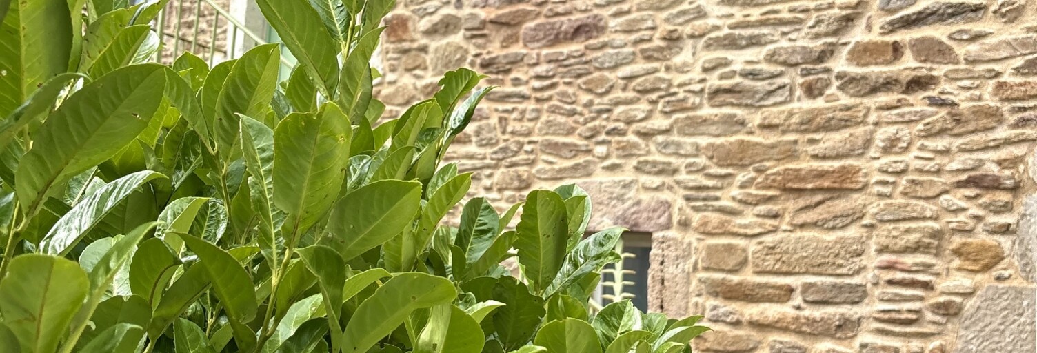Maison 4 Pièces 145 m² à louer à Baraqueville (12160)