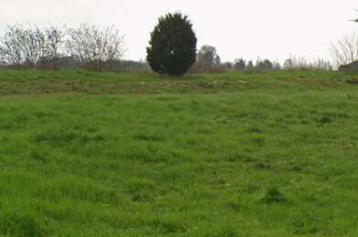 Terrain  105000 €