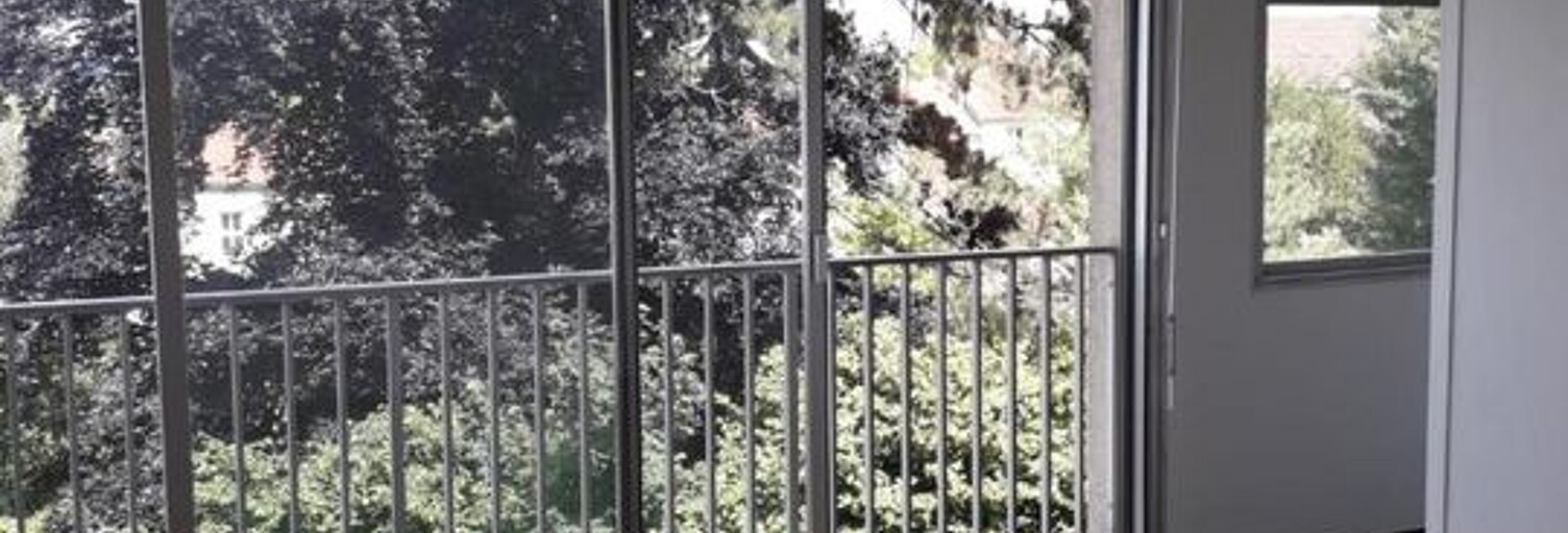 Appartement 1 Pièce 25 m² à louer à Nancy (54000)