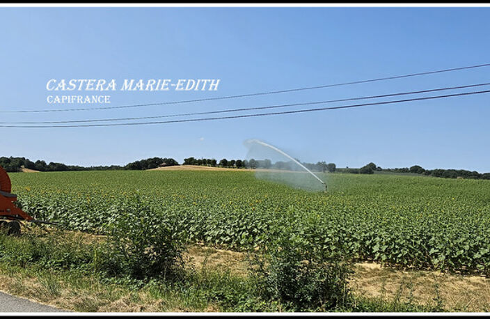 Dpt Gers (32), à vendre proche AUCH - propriété agricole - 145 Hectares avec LAC et 860 M² de bâtiments — photo 2