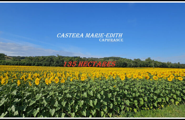 Dpt Gers (32), à vendre proche AUCH - propriété agricole - 145 Hectares avec LAC et 860 M² de bâtiments — photo 3