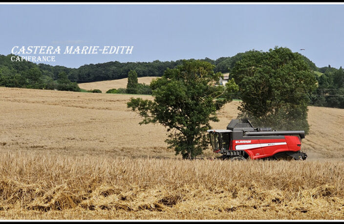 Dpt Gers (32), à vendre proche AUCH - propriété agricole - 145 Hectares avec LAC et 860 M² de bâtiments — photo 5