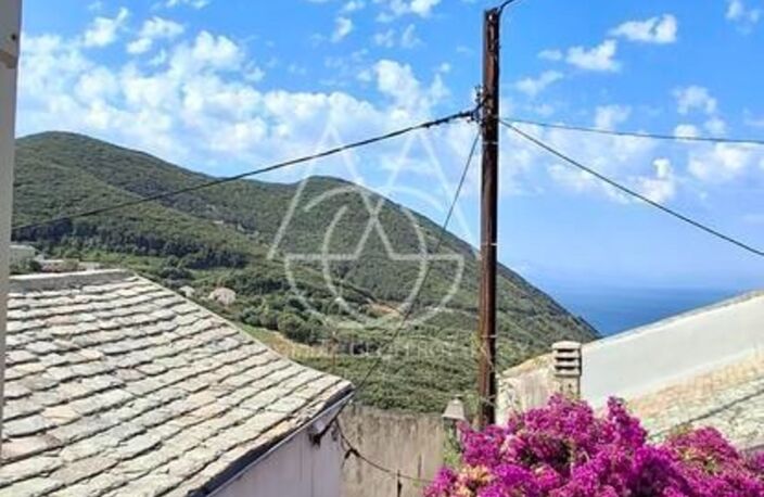 Maison d'Américain au Cap Corse inclut un petit gîte entièrement autonome et indépendant — photo 3