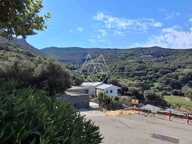 Maison d'Américain au Cap Corse inclut un petit gîte entièrement autonome et indépendant — photo 4