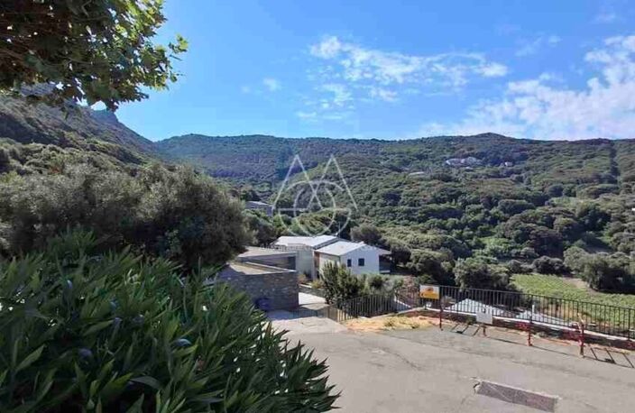 Maison d'Américain au Cap Corse inclut un petit gîte entièrement autonome et indépendant — photo 4