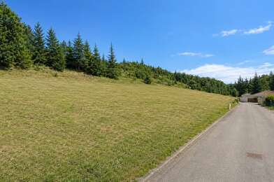 Terrain  40000 €