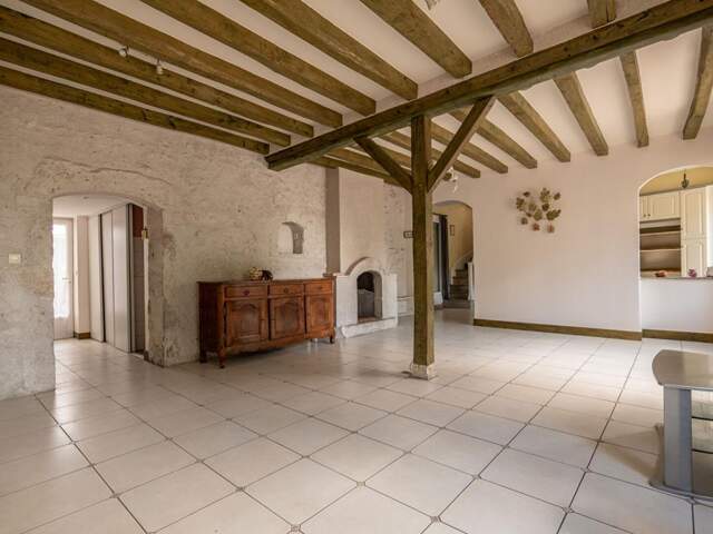 LIEUX UNIQUES ® x PROPRIÉTÉS PRIVÉES ® MAISON DE MAITRE DE 115 M², COUR, GARAGE 35 M² BEAUGENCY CENTRE — photo du bien