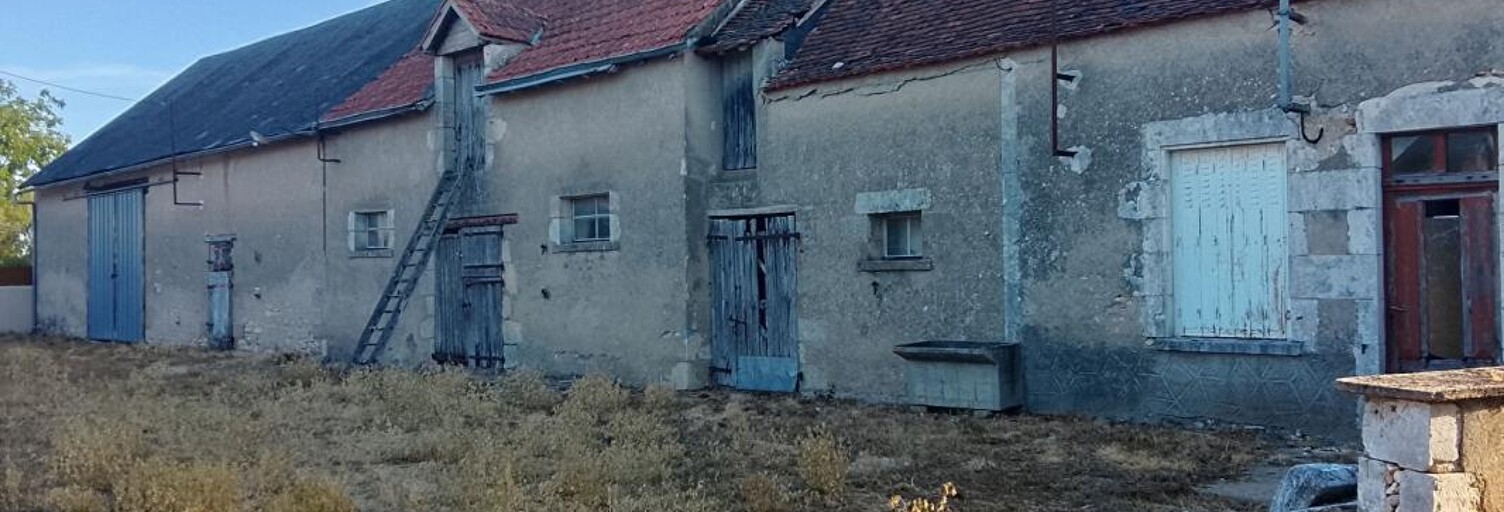Maison  150 m² à vendre à Pouligny-Saint-Pierre (36300)