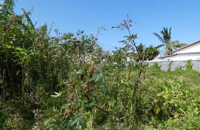 97470 Saint Benoit terrain constructible 511 m2 en zone Ua13 — photo 2