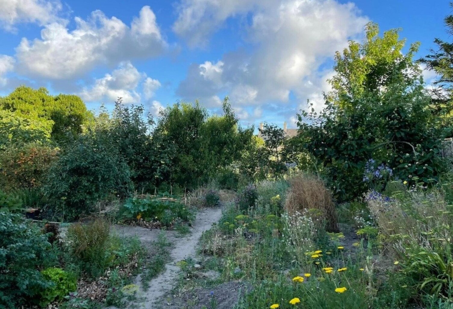 Terrain constructible et viabilisé de 765 mètre carré  Maison de 52 mètres carré — photo 1