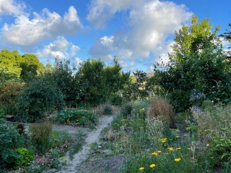 Terrain constructible et viabilisé de 765 mètre carré  Maison de 52 mètres carré — photo 1