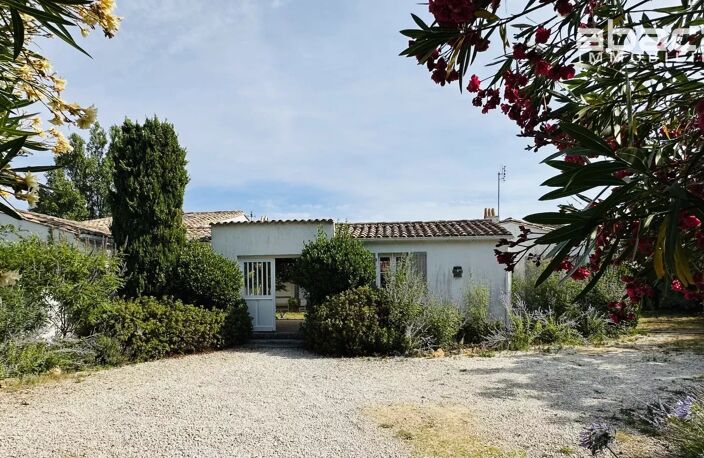Face à l'océan,  Véritable maison de Famille aux Portes en Ré — photo 5