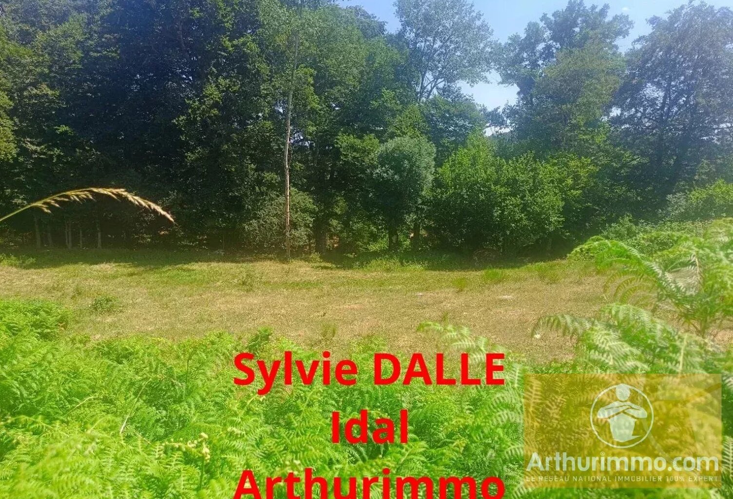 A vendre terrain — photo 1