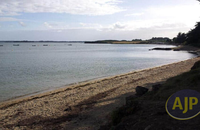 ILE D' ARZ — photo 5