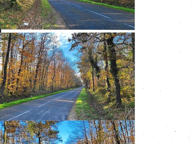 Vaste domaine forestier de presque 9 hectares ! — photo du bien