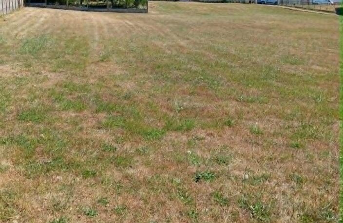 Maison 3 chambres avec belle dépendance et 4200 mé de jardin — photo 4