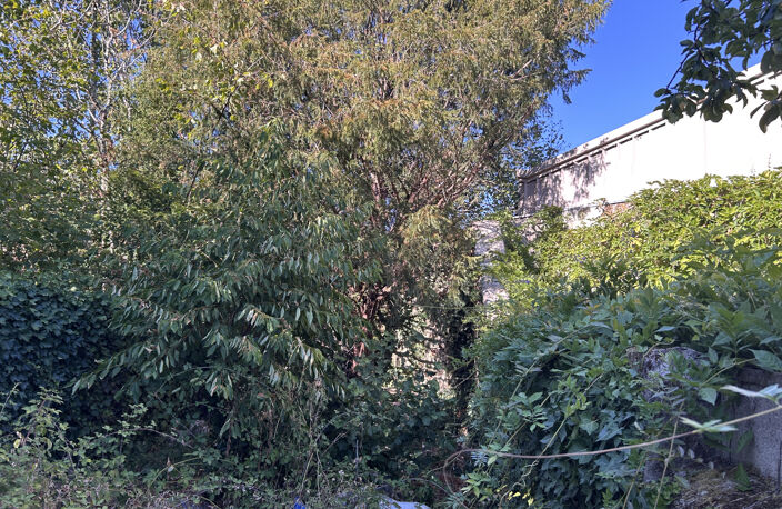 A VENDRE - Maison à réhabiliter avec jardin Argenton-sur-Cre — photo 4