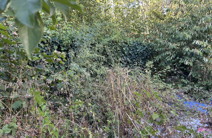 A VENDRE - Maison à réhabiliter avec jardin Argenton-sur-Cre — photo 5