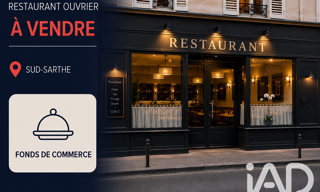 Commerce  220 m² à vendre à Le Lude (72800)