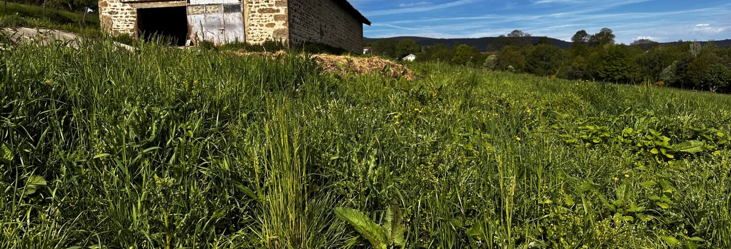 Photo N° 2