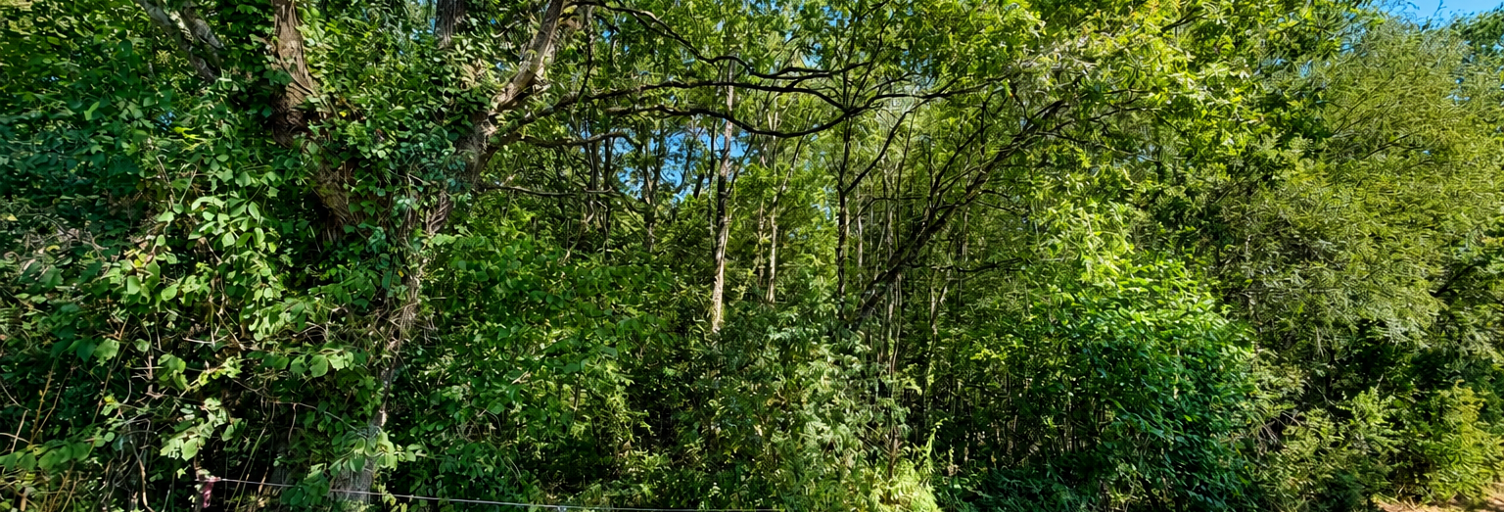Terrain  29190 m² à vendre à Sévérac (44530)