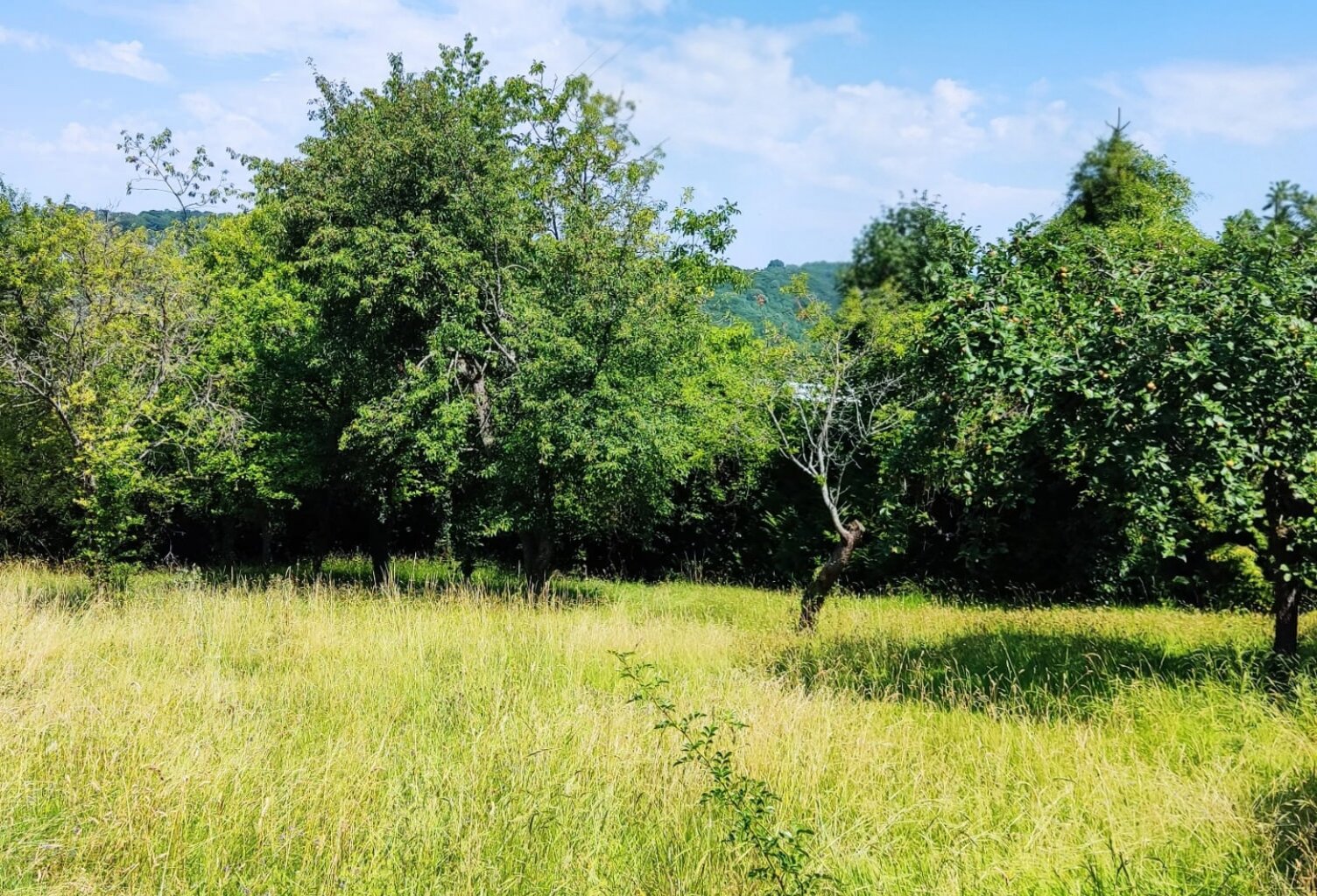 Vente Terrain à bâtir 1 354 m&sup2; — photo 1