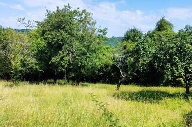 Terrain  87000 €