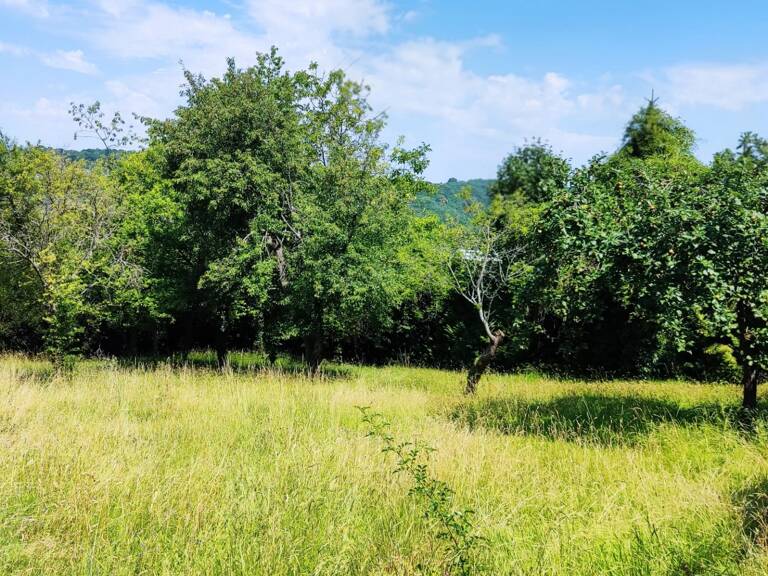 Vente Terrain à bâtir 1 354 m&sup2; — photo 1