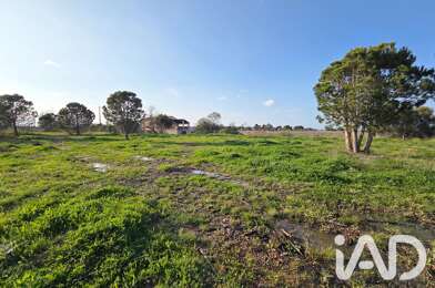 Terrain  445000 €