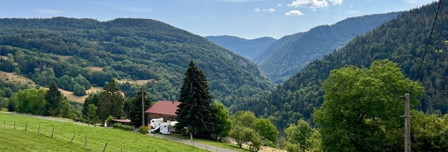 Photo N° 2