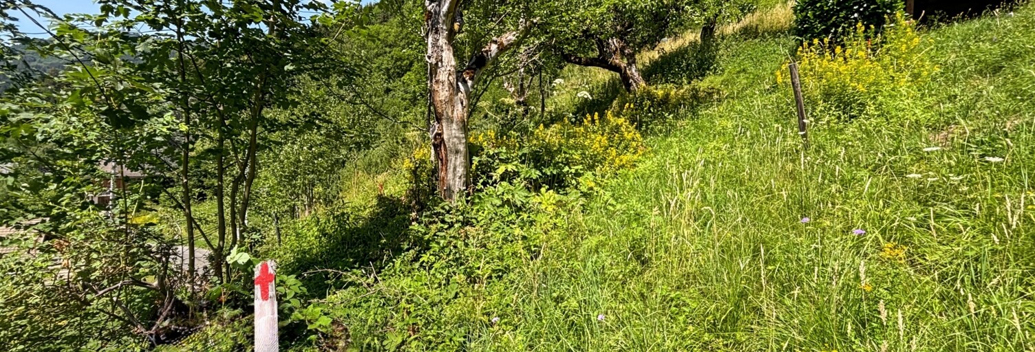Terrain  566 m² à vendre à La Côte-d'Arbroz (74110)