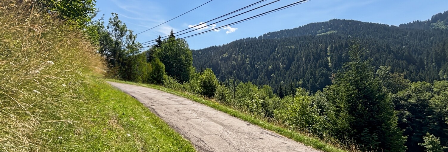 Photo N° 2