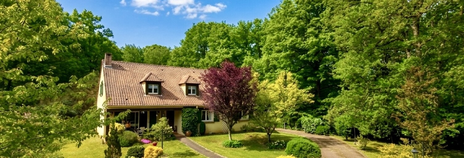 Maison 9 Pièces 203 m² à vendre à Saint-Hilaire-les-Andrésis (45320)