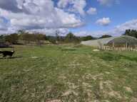 Propriété agricole de 2 hectares avec fromagerie & guinguette festive — photo 2