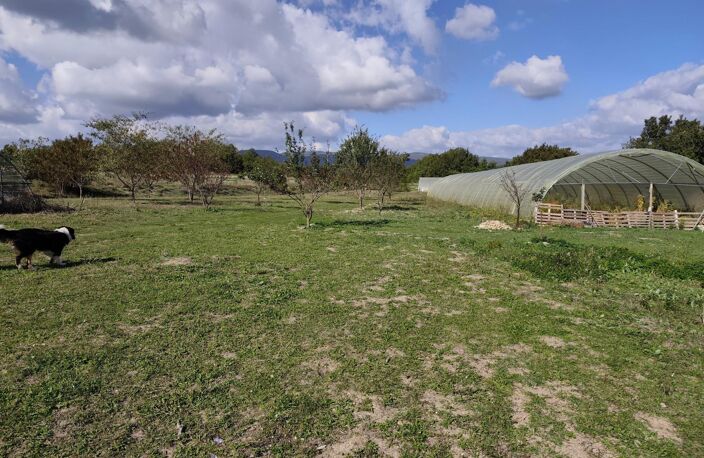 Propriété agricole de 2 hectares avec fromagerie & guinguette festive — photo 2