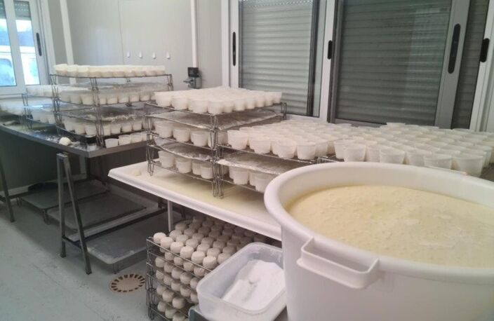 Propriété agricole de 2 hectares avec fromagerie & guinguette festive — photo 5