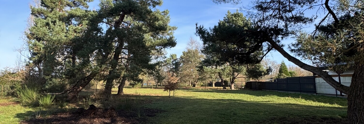 Terrain  3111 m² à vendre à Saint-Denis-de-l'Hôtel (45550)