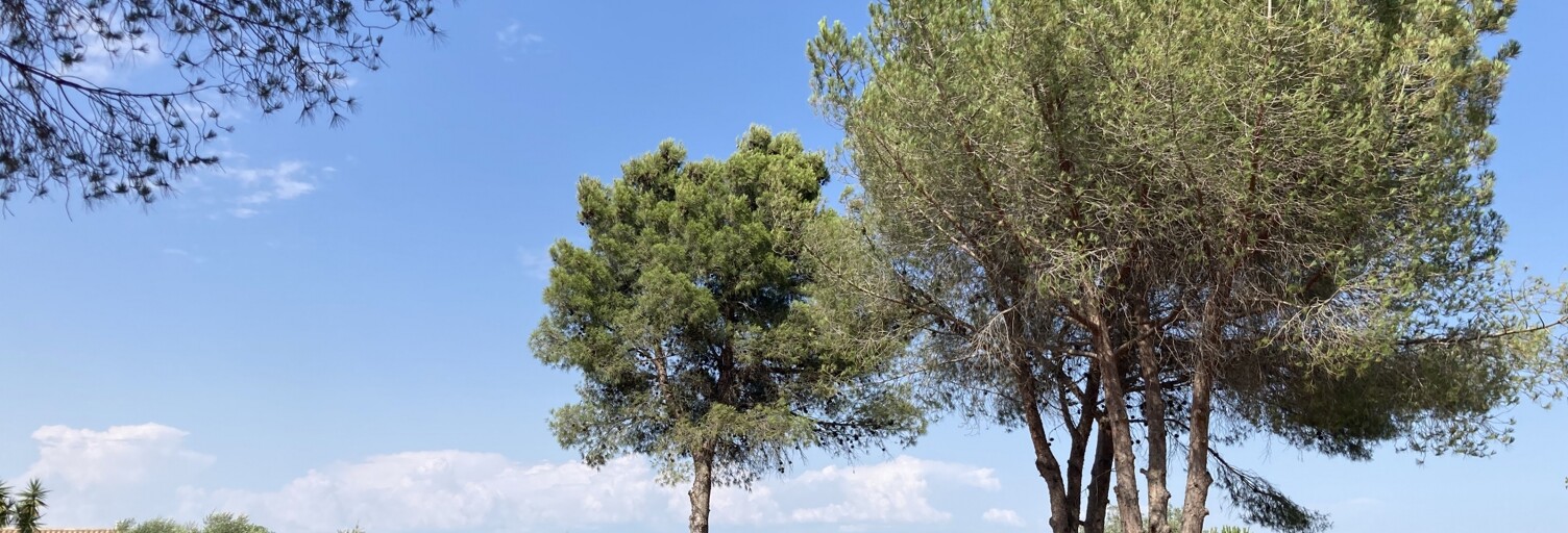 Terrain  622 m² à vendre à Béziers (34500)