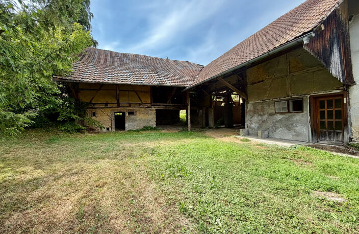 Vente authentique maison Alsacienne à rénover -- Proche Suiss — photo 5