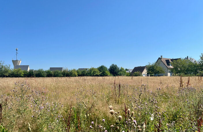 HEULAND (14) – TERRAIN À BÂTIR DANS UN ÉCRIN DE VERDURE AUX PORTES DE LA CÔTE FLEURIE — photo 5