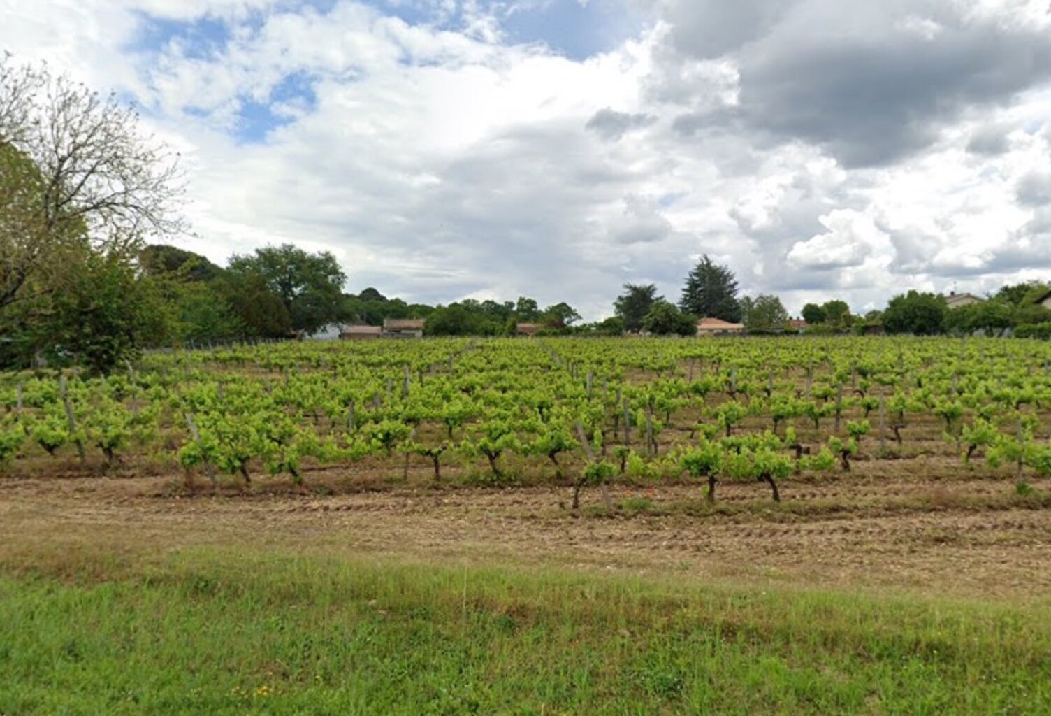 Terrain à bâtir à Castres-Gironde (33640) — photo 1