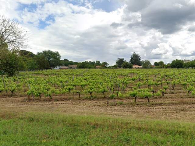 Terrain à bâtir à Castres-Gironde (33640) — photo du bien