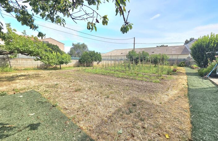 A vendre maison de 300 m2 divisées en 4 habitations, terrain 1395 m2, garage et terrain cOnstructible à MONTE (Haute Corse) — photo 5