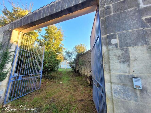 Propriété à vendre 14 pièces SAINT JEAN D'ANGELY (17) - Ancien domaine viticole, Bâti de 940 m2, Maison de maître, Dépendances — photo du bien