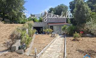 Maison 4 Pièces 74 m² à vendre à San-Gavino-di-Carbini (20170)
