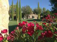 Domaine d'exception au cœur du Luberon — photo 4