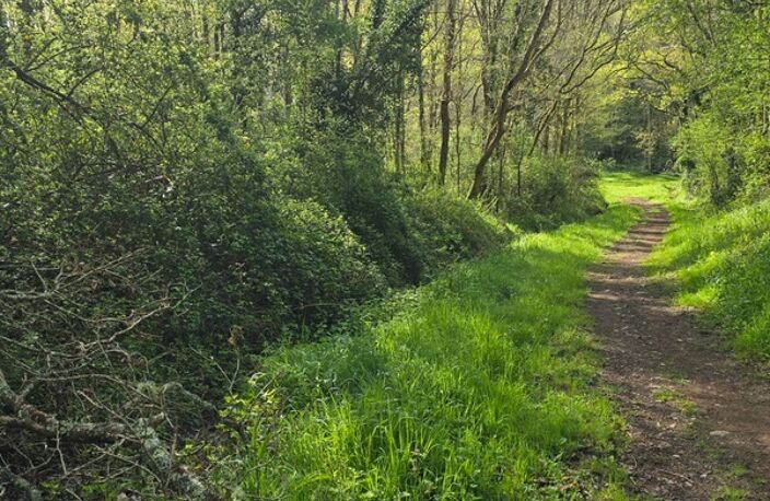Terrain à vendre non constructible  de 2 500,00 m² LE CHAMP SAINT PERE (85) le piquet — photo 2